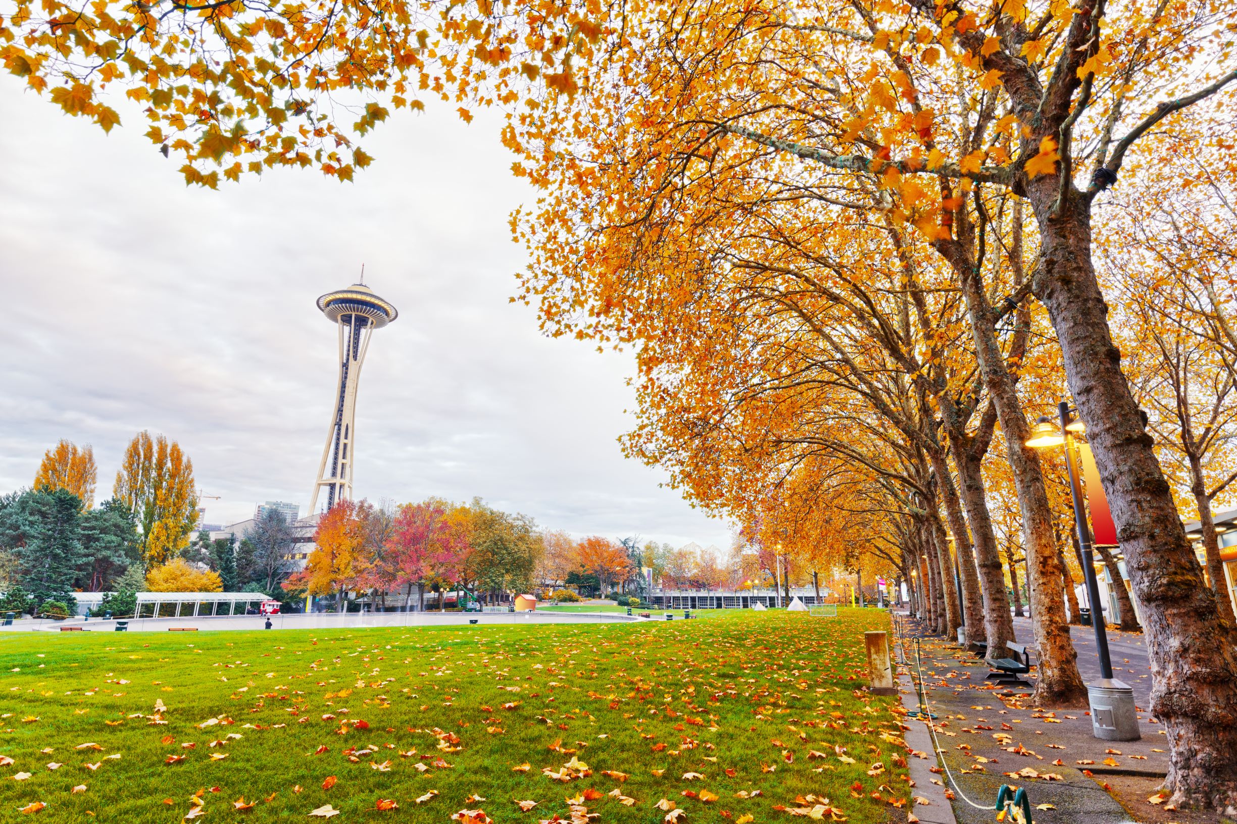 space needle in fall resized