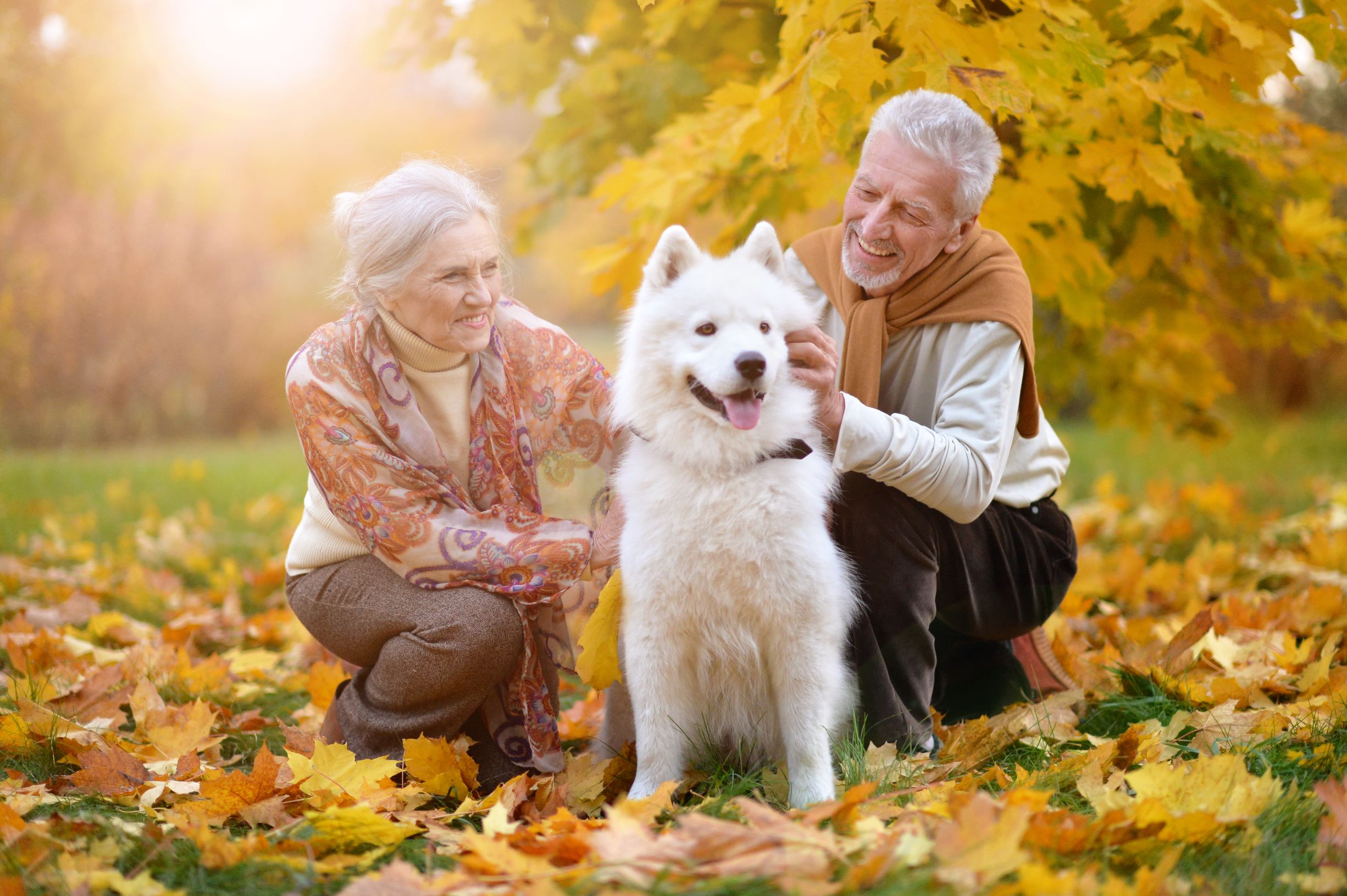 older couple with dog resized