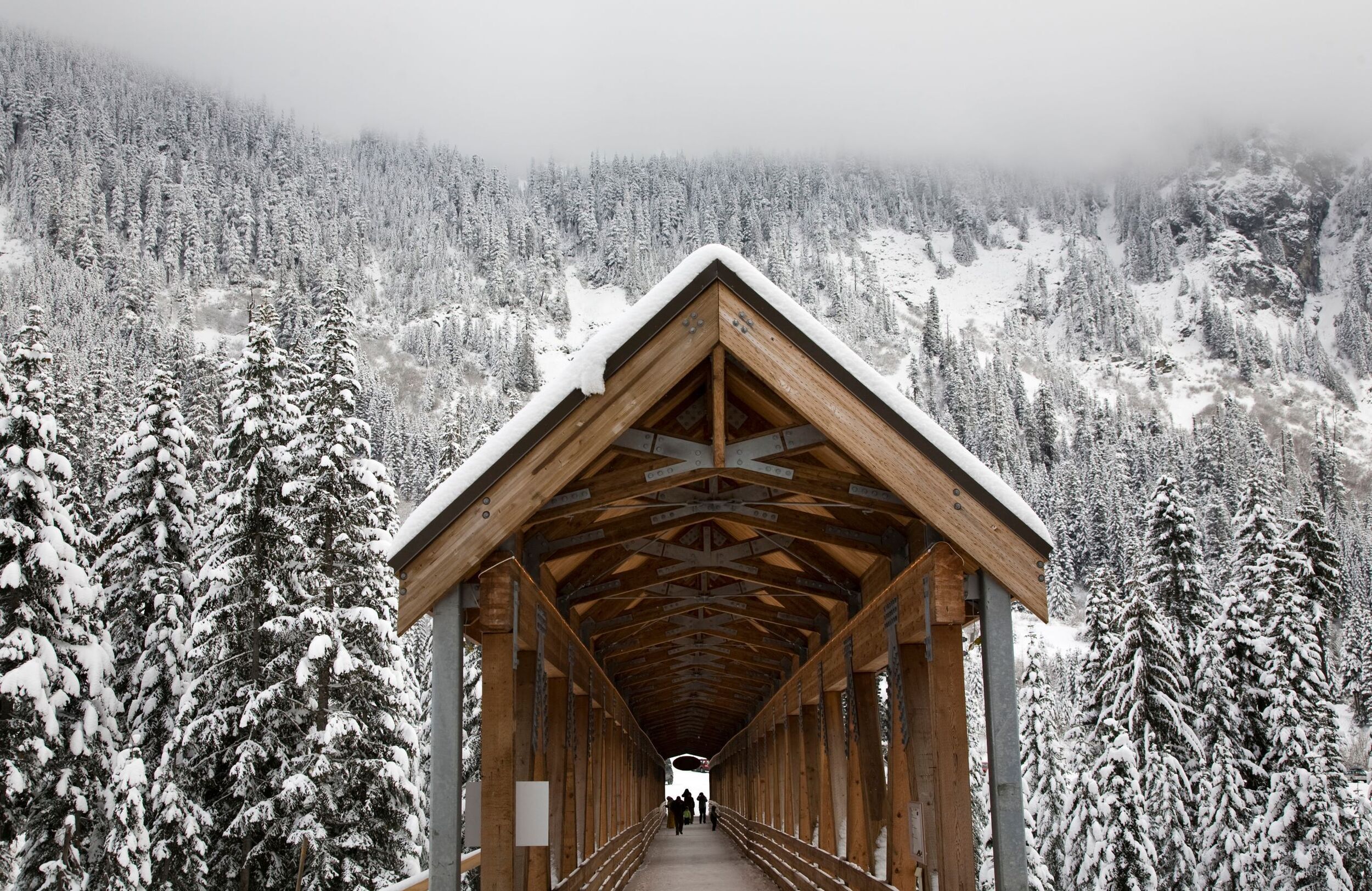 alpental bridge resized